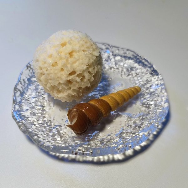 Bombe de Bain parfum Mangue - 40g – Image 3